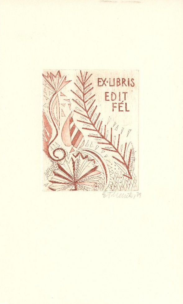 Дан стилизованный растительный орнамент. В верхней части композиции справа печатным шрифтом: EX LIBRIS EDIT FEL.