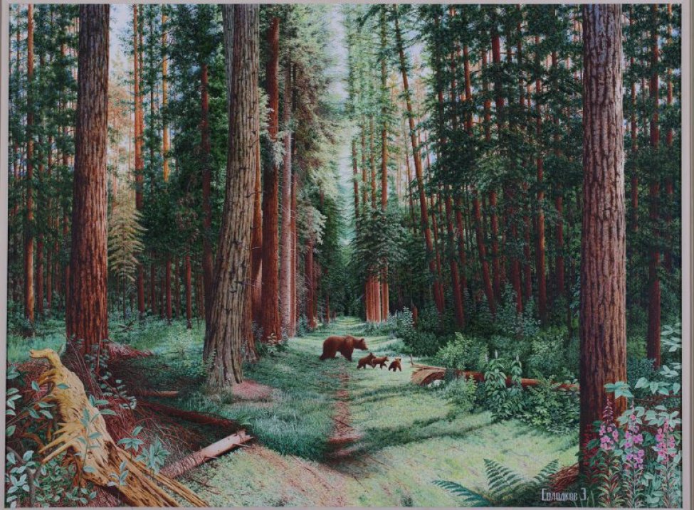 Изображен сосновый лес в летний солнечный день. В центре композиции на тропинке среди деревьев изображены медведица и трое медвежат. На первом плане изображены высокие стволы сосен. Справа – кусты, иван-чай и куст папоротника. Слева – лежат ствол сухого дерева и коряга.