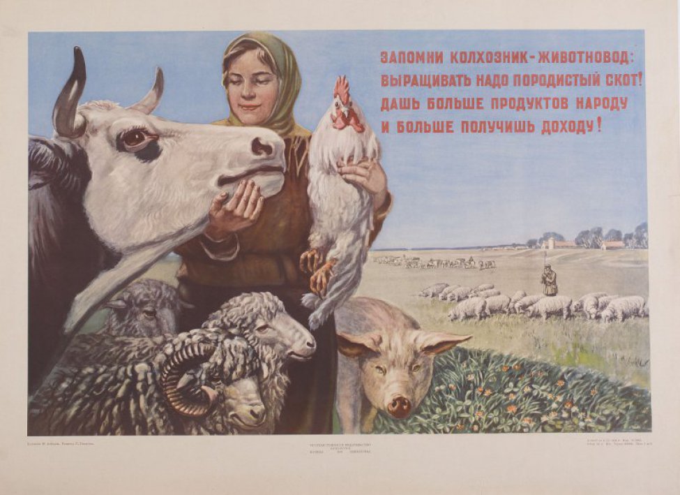 На фоне степи, слева, изображена молодая колхозница. В левой руке - петух, правой рукой она гладит морду коровы. Колхозницу окружают две овцы, баран, свинья. Справа, вдали, - колхозная деревня, ближе - два стада и пастухи. Вверху текст.