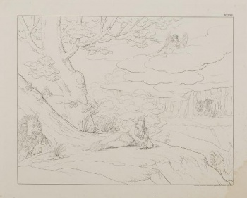 Изображен пейзаж с лесом. На первом плане в центре композиции - молодая полуобнаженная женщина, лежащая на земле у подножия двух деревьев. Слева- лев, справа - крылатое чудовище. На втором плане слева - женское лицо со звездой над головой, виднеющееся между двумя деревьями; справа- два льва в лесу. В верхней части композиции справа изображен обнаженный юноша с крыльями за спиной и луком в правой руке, лежащий на облаках. Над изображением справа: ХХХY1. Под изображением справа: Сочиналъ, Рисовалъ и Гравировалъ Графъ Феодоръ  Толстой 1839 года.