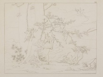 На фоне горного пейзажа изображена молодая полуобнаженная женщина у подножия двух больших деревьев, на ветвях которых восемь крылатых зефиров. В правой части композиции вверху изображен юноша с крыльями за спиной и с луком в руках, лежащий на облаках. Над изображением справа: ХL1. Под изображением справа: Сочинялъ, Рисовалъ и Гравировалъ Графъ Феодоръ Толстой 1840 года.
