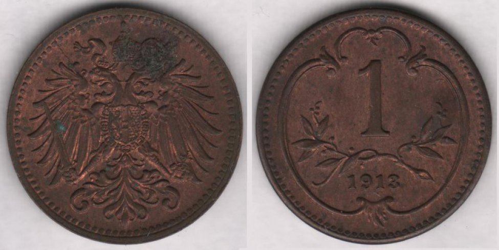 Аверс: В центре -- малый герб Австрийской империи: двуглавый коронованный орел держащий в правой лапе меч и скипетр, в левой державу с крестом, на груди щиток в виде барочного с заострением внизу гера- льдического щита, щиток рассечён на 3 части (вертикальные полосы) с гербами: в правой части герб Габсбургов-- на фоне из точек (золото в геральдике) геральдический лев на задних лапах вправо, в цент- ре герб Австрии -- на фоне из прямых параллельных вертикальных линий (красный цвет в геральдике) широкая, гладкая (серебро в геральдике) вертикальная полоса (пояс), в левой части герб Лотарингского дома -- на фоне из точек (золото в геральдике) диагональная (влево) перевязь с штриховкой в виде пря- мых параллельных вертикальных линий (красный цвет в геральдике) с 3 орлами; вокруг щитка цепь ор- дена Золотого руна из ажурных продолговатых звеньев, знак ордена в виде овечьей  шкуры (руна) рас- положен под щитком на хвосте орла; над головами орла корона Габсбургов, состоящая из украшенного мелкими точками обруча с 5 видимыми зубцами (3 в виде листьев (трилистников), 2 -- с жемчужинами), из митры, состоящей из двух полушарий и одной дужки между ними, увенчанной державой с крестом, внизу к короне прикреплены 2 извилистые узкие ленты (частично скрыты головами орла); крылья состо- ят из больших продолговатых перьев; хвост -- сильно стилизованные перья расположены в 4 ряда. Во- круг композиции аверса рамка из мелких точек (примыкает к буртику). По краю монеты линейный буртик.
Реверс: В центре -- цифра 1 (обозначение номинала). Под цифрой лавровая ветвь с двумя отростками, обрамля- ющих нижнюю часть цифры. Под лавровой ветвью дата: 1913. Вокруг всей композиции круглая рамка (с выступом вверху) из элементов растительного барочного орнамента. Вокруг композиции реверса рамка из мелких точек (примыкает к буртику). По краю монеты линейный буртик.
Гурт: гладкий