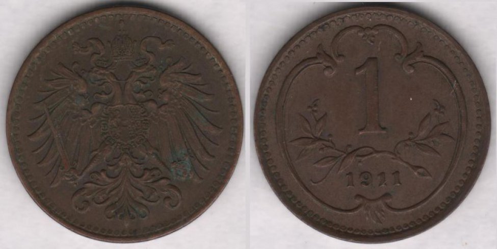 Аверс: В центре -- малый герб Австрийской империи: двуглавый коронованный орел держащий в правой лапе меч и скипетр, в левой державу с крестом, на груди щиток в виде барочного с заострением внизу гера- льдического щита, щиток рассечён на 3 части (вертикальные полосы) с гербами: в правой части герб Габсбургов-- на фоне из точек (золото в геральдике) геральдический лев на задних лапах вправо, в цент- ре герб Австрии -- на фоне из прямых параллельных вертикальных линий (красный цвет в геральдике) широкая, гладкая (серебро в геральдике) вертикальная полоса (пояс), в левой части герб Лотарингского дома -- на фоне из точек (золото в геральдике) диагональная (влево) перевязь с штриховкой в виде пря- мых параллельных вертикальных линий (красный цвет в геральдике) с 3 орлами; вокруг щитка цепь ор- дена Золотого руна из ажурных продолговатых звеньев, знак ордена в виде овечьей  шкуры (руна) рас- положен под щитком на хвосте орла; над головами орла корона Габсбургов, состоящая из украшенного мелкими точками обруча с 5 видимыми зубцами (3 в виде листьев (трилистников), 2 -- с жемчужинами), из митры, состоящей из двух полушарий и одной дужки между ними, увенчанной державой с крестом, внизу к короне прикреплены 2 извилистые узкие ленты (частично скрыты головами орла); крылья состо- ят из больших продолговатых перьев; хвост -- сильно стилизованные перья расположены в 4 ряда. Во- круг композиции аверса рамка из мелких точек (примыкает к буртику). По краю монеты линейный буртик.
Реверс: В центре -- цифра 1 (обозначение номинала). Под цифрой лавровая ветвь с двумя отростками, обрамля- ющих нижнюю часть цифры. Под лавровой ветвью дата: 1911. Вокруг всей композиции круглая рамка (с выступом вверху) из элементов растительного барочного орнамента. Вокруг композиции реверса рамка из мелких точек (примыкает к буртику). По краю монеты линейный буртик.
Гурт: гладкий