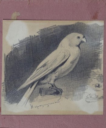 Изображена белая птица в правый профиль, стоящая на камине. Птица с тупым коротким клювом, сложенными крыльями и опущенным хвостом.