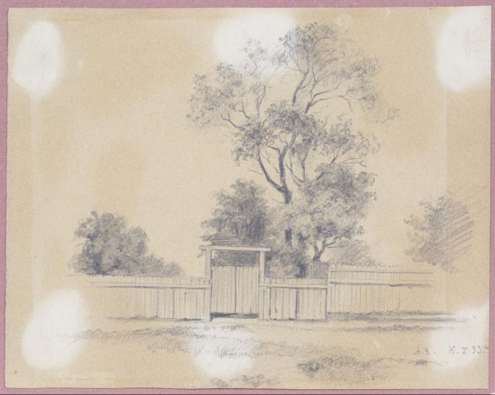 Изображен на переднем плане забор дощатый, в центре которого ворота. За забором вправо от ворот высокое дерево, рядом с ним дерево пониже. Направо и налево низкие деревья.