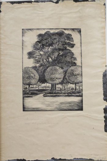 Изображен парк. На переднем плане 3 дерева, крона которых подрезана в форме шара, сзади большое дерево.