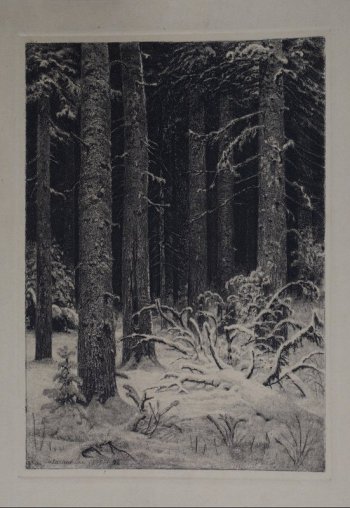 Крепкие толстые стволы леса темнеют среди снега. Справа лежит старое дерево., занесенное снегом.