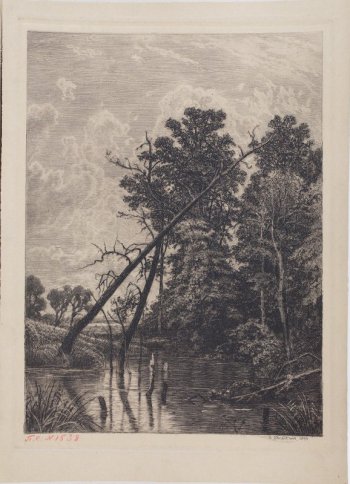 Изображено обрамленное деревьями болото, у берегов поросшее осокой. Несколько поломанных старых деревьев и сучьев затоплены водой.