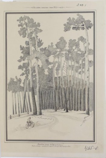 Изображен сосновый лес зимой. Из-под снега видна изгородь, уходящая в лес. Вдоль изгороди идет дорога, по которой едет на велосипеде мужчина в полушубке. Рисунок в рамке.