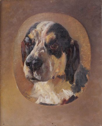 Изображена в овале на темном фоне голова собаки с большими висячими ушами. Собака белая, с черными крупными пятнами.