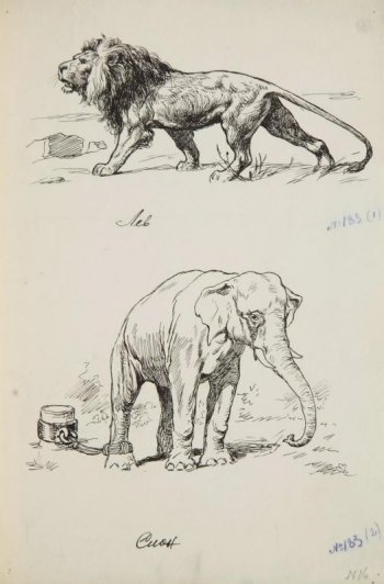Внизу изображен стоящий головой к зрителю слон, прикованный за заднюю ногу к низкому столбу. Вверху - в профиль лев в движении.