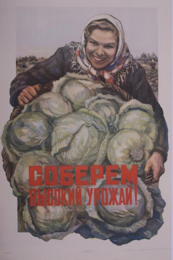Изображена девушка в поле с большой корзиной в руках, полная кочанов капусты.