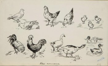 На листе шесть изображений. Внизу слева направо  - два петуха, два гуся, две уточки на воде. Вверху слева направо - два голубя, две курицы, три цыпленка.