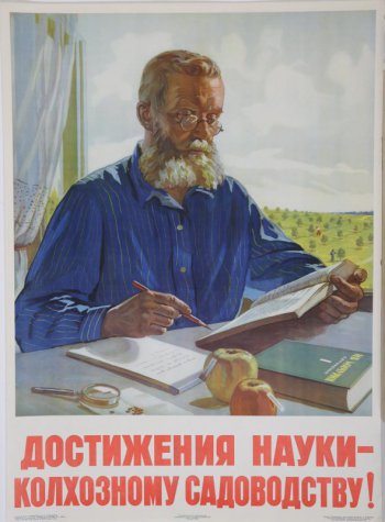 Изображен пожилой мужчина в очках, с бородой, в синей рубашке, сидит за столом. В одной руке раскрытая книга, в другой карандаш. На столе блок-кот, два яблока,книга 