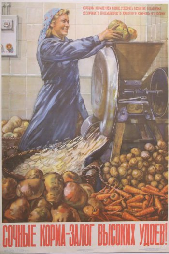 Изображена кормокухня. Девушка спускает клубни картофеля в клубне резку, около нее стоят корзины с овощами: с кормовой свеклой,картофелем,морковью.