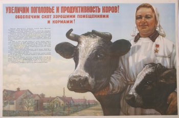 Изображена женщина Героя Социалистического труда  доярка А.С. Новикова, на ферме, около нее  стоит черная корова с белой лысиной на лбу и такой-же  теленок по другую сторону.