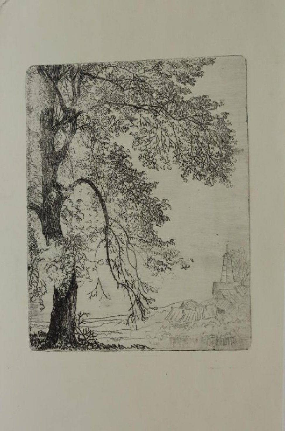 На первом плане слева изображено дерево с густой листвой и длинными, почти до земли, нижними ветками, фрагментированное верхним и левым краем изображения. На дальнем плане справа деревенский пейзаж с пожарной каланчой.