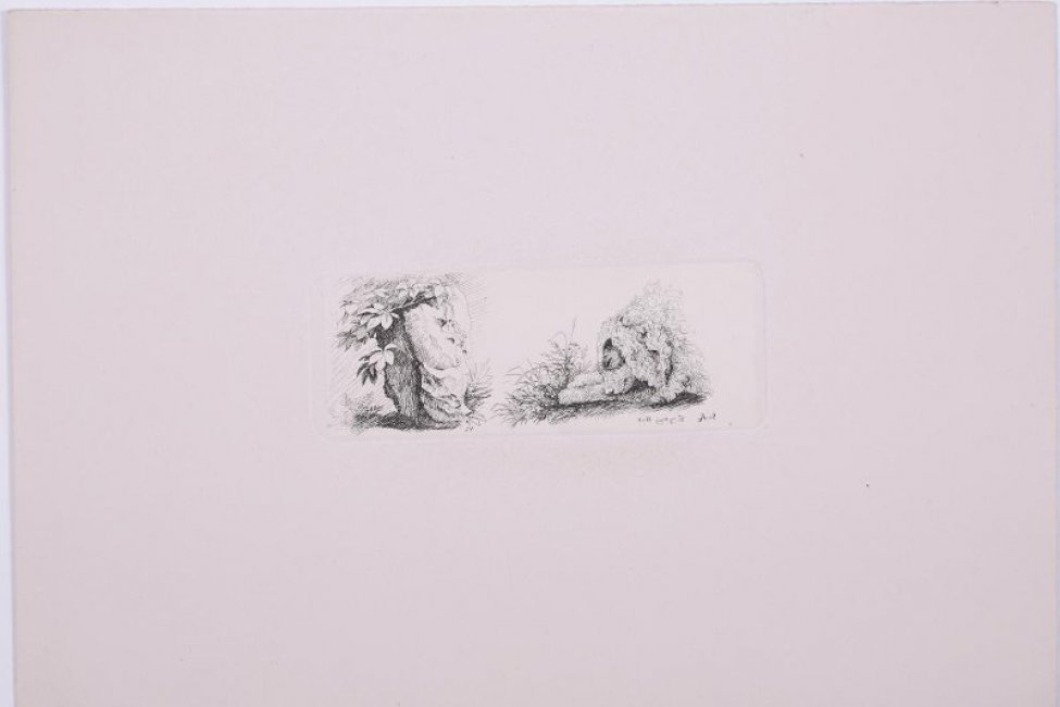 Два наброска: слева изображена нижняя часть ствола дерева с ветками покрытыми листьями; справа- голова спящего льва на вытянутых передних лапах. Справа, под изображением льва выгравирована надпись.